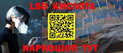 амф Гусев