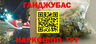 амф Гусев