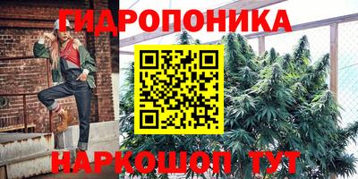 амф Гусев