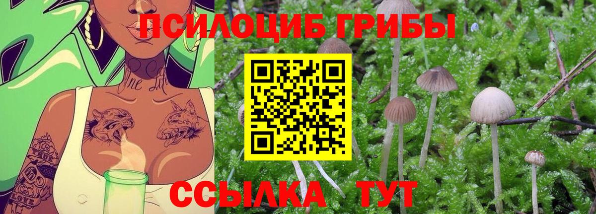 Галлюциногенные грибы MAGIC MUSHROOMS  Галлюциногенные грибы Psilocybine cubensis  Семёнов  Вход с VPN 